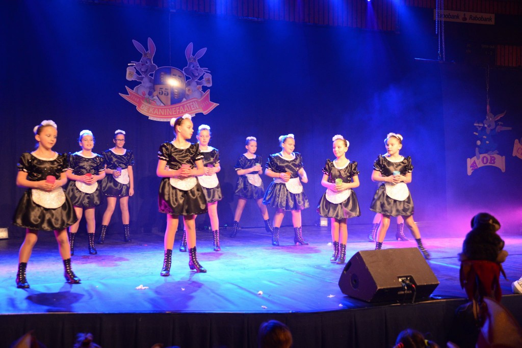 ../Images/Dansmarieke festival 2015 308.jpg